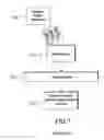 Fig. 02 - Device for system diagnosis