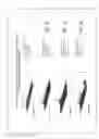 Fig. 05 - Method for standardization of chemical and therapeutic values of foods and medicines using animated chromatographic fingerprinting
