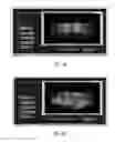 Fig. 08 - Method for standardization of chemical and therapeutic values of foods and medicines using animated chromatographic fingerprinting