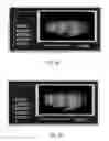 Fig. 09 - Method for standardization of chemical and therapeutic values of foods and medicines using animated chromatographic fingerprinting
