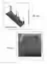 Fig. 113 - Method for standardization of chemical and therapeutic values of foods and medicines using animated chromatographic fingerprinting