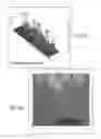 Fig. 116 - Method for standardization of chemical and therapeutic values of foods and medicines using animated chromatographic fingerprinting