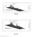 Fig. 13 - Method for standardization of chemical and therapeutic values of foods and medicines using animated chromatographic fingerprinting