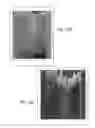 Fig. 191 - Method for standardization of chemical and therapeutic values of foods and medicines using animated chromatographic fingerprinting