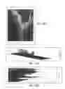 Fig. 193 - Method for standardization of chemical and therapeutic values of foods and medicines using animated chromatographic fingerprinting