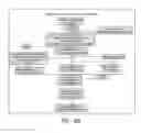 Fig. 196 - Method for standardization of chemical and therapeutic values of foods and medicines using animated chromatographic fingerprinting