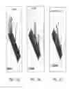 Fig. 42 - Method for standardization of chemical and therapeutic values of foods and medicines using animated chromatographic fingerprinting
