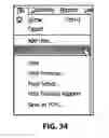 Fig. 29 - Diabetes Care Host-Client Architecture and Data Management System
