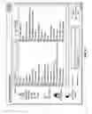 Fig. 80 - Diabetes Care Host-Client Architecture and Data Management System