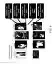 Fig. 10 - METHODS AND SYSTEMS FOR PROVIDING SOCIAL NETWORKING-BASED ADVERTISEMENTS
