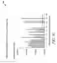Fig. 09 - DYNAMIC TARGETING ALGORITHMS FOR REAL-TIME VALUATION OF ADVERTISING PLACEMENTS