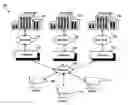 Fig. 01 - System and method for dynamic quantity orders in an electronic trading environment