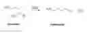 Fig. 01 - Method for increasing plant yield by expressing a nucleic acid encoding an ornithine decarboxylase polypeptide and plants expressing the same