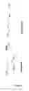 Fig. 02 - Method for increasing plant yield by expressing a nucleic acid encoding an ornithine decarboxylase polypeptide and plants expressing the same