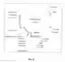 Fig. 06 - Storage-induced promoter