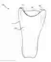 Fig. 01 - Protective gear