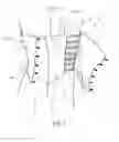 Fig. 03 - Garment