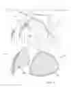 Fig. 02 - Interchangeable Baseball Cap and Constructed Visor in One