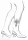 Fig. 01 - TATTOOED NYLONS AND RELATED METHODS