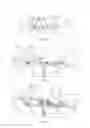 Fig. 08 - MULTIPURPOSE LOAD LIFTING WORK PLATFORM OR/AND COMPOSITE BRIDGE STRUCTURE