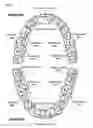 Fig. 06 - Electric toothbrush