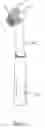 Fig. 06 - TOOTHBRUSH WITH EDUCATION FUNCTION