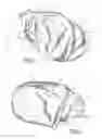 Fig. 04 - CLEANING ARTICLE