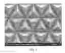 Fig. 04 - Razor comprising a three dimensional, microstructured abrasion material