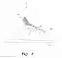 Fig. 03 - Footware with decorative tongue