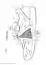 Fig. 04 - Athletic shoes having an upper whose fitting property is improved
