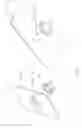 Fig. 16 - ANIMAL TAGS AND METHOD OF MANUFACTURE