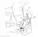 Fig. 01 - Fly-safe, fly patch