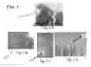 Fig. 02 - Convex Cutting and Trimming Method for Shaping Trees