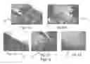 Fig. 05 - Convex Cutting and Trimming Method for Shaping Trees