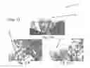 Fig. 10 - Convex Cutting and Trimming Method for Shaping Trees