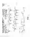 Fig. 02 - AUTOMATED SYSTEM FOR ANALYZING PLANT VIGOR