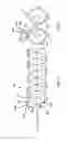 Fig. 09 - Stalk roll and stripper arrangement for corn head
