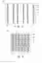 Fig. 04 - Apparatuses and methods for storing and/or filtering a substance