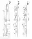 Fig. 05 - COOLER DISTRIBUTOR FOR A HEAT EXCHANGER