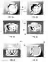 Fig. 04 - Gemstone setting including a gem faceted to display a plurality of images from an outer focal region