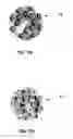 Fig. 08 - Gemstone setting including a gem faceted to display a plurality of images from an outer focal region
