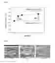 Fig. 09 - Forming device for thixoextrusion and method thereof
