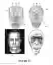 Fig. 13 - Deformable Robotic Surface