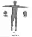 Fig. 31 - Deformable Robotic Surface