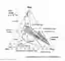Fig. 01 - Method of manufacturing ultra low carbon ferritic stainless steel