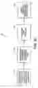 Fig. 11 - Method and apparatus for composing and performing music