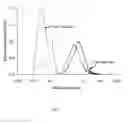 Fig. 02 - Calcium phosphate particles and hydraulic cements based thereon