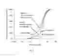 Fig. 06 - Calcium phosphate particles and hydraulic cements based thereon