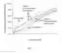 Fig. 07 - Calcium phosphate particles and hydraulic cements based thereon