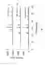 Fig. 08 - Calcium phosphate particles and hydraulic cements based thereon